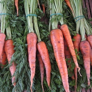 Carota con ciuffo