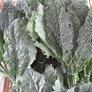 Cavolo nero