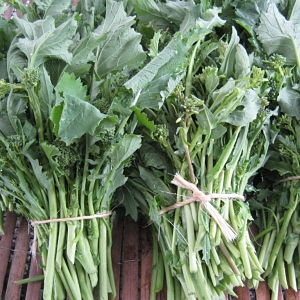 Cima di rapa