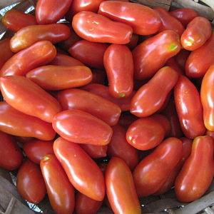 Pomodoro San Marzano